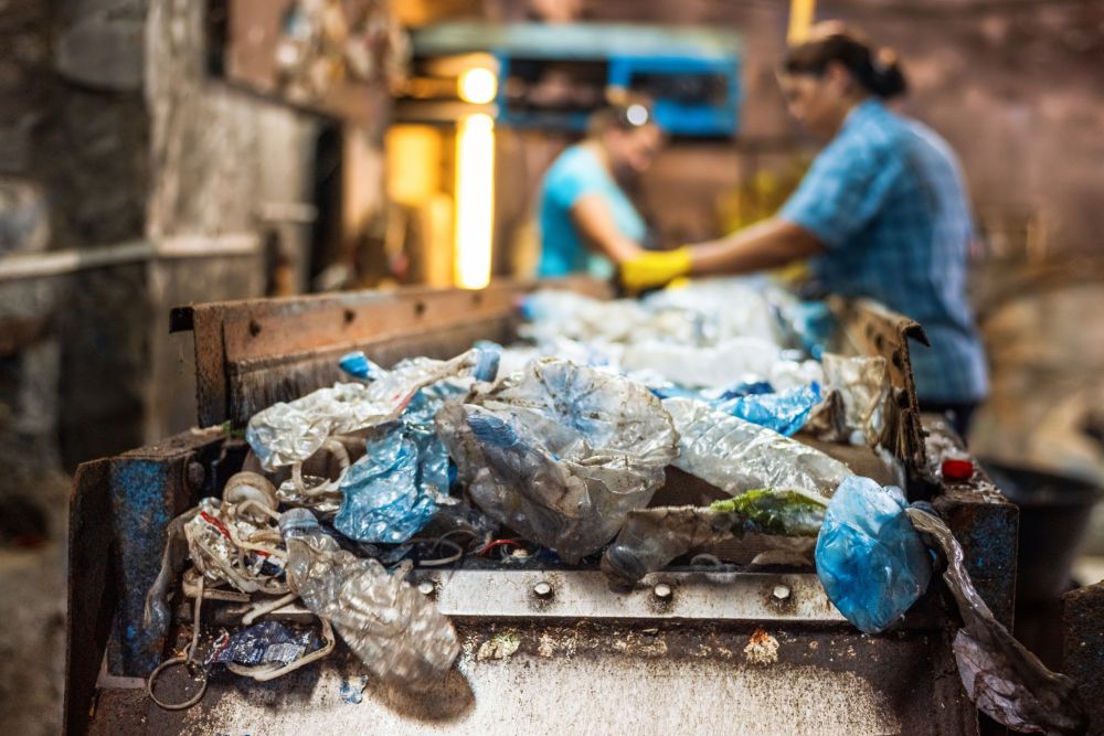 Same-Day Waste Clearance in Wimbledon